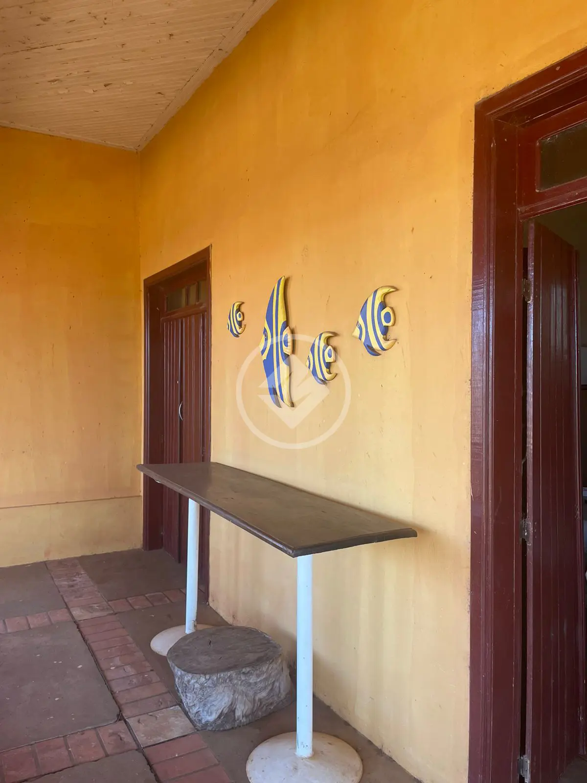 Imagem 2 - Fazenda em Área Rural de Uberlândia, Uberlândia - MG