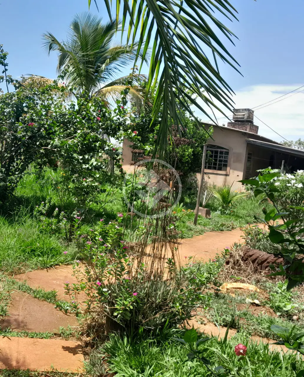 Sítio Área Rural de Uberlândia, Uberlândia - MG — foto 1
