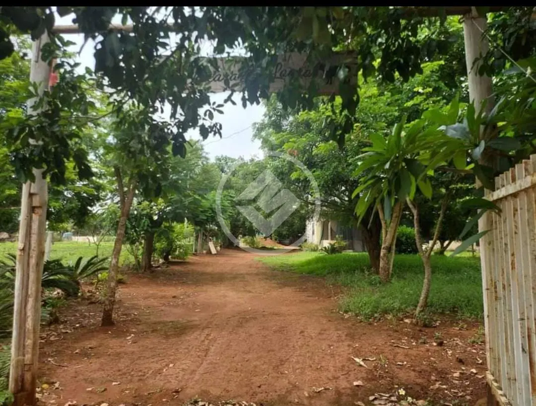 Imagem 2 - Chácara em Área Rural de Uberlândia, Uberlândia - MG