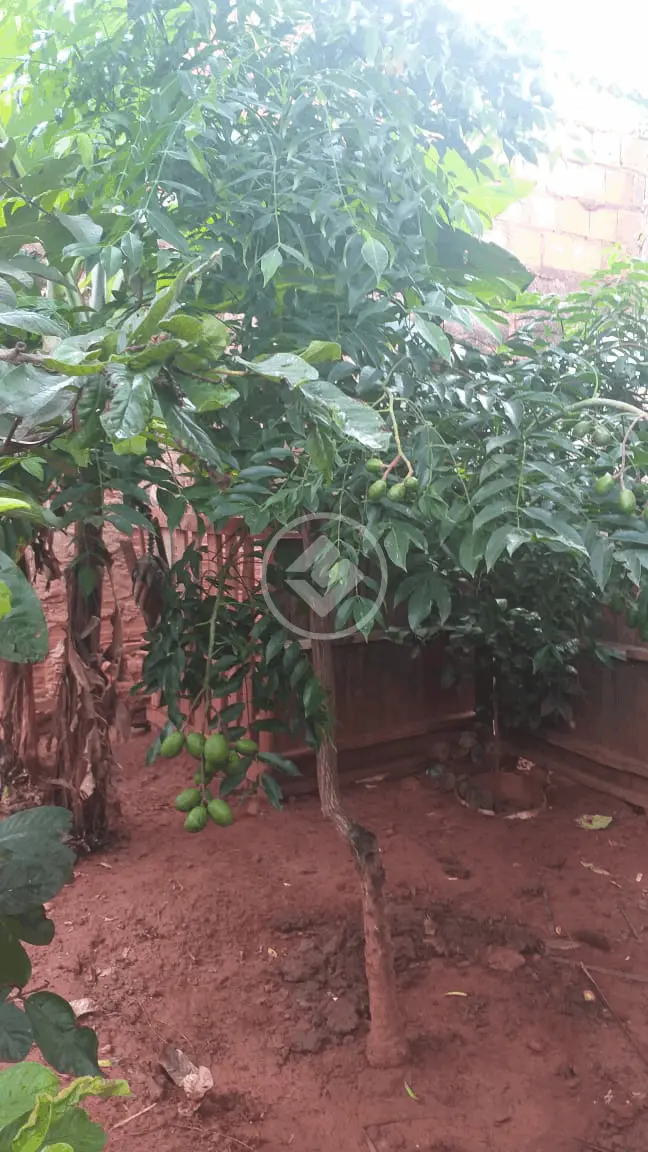 Imagem 6 - Casa em Tocantins, Uberlândia - MG