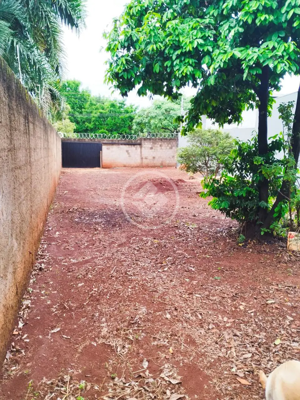 Terreno Daniel Fonseca, Uberlândia - MG — foto 2