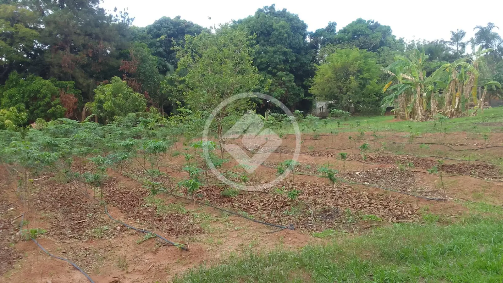 Chácara Área Rural de Uberlândia, Uberlândia - MG — foto 2