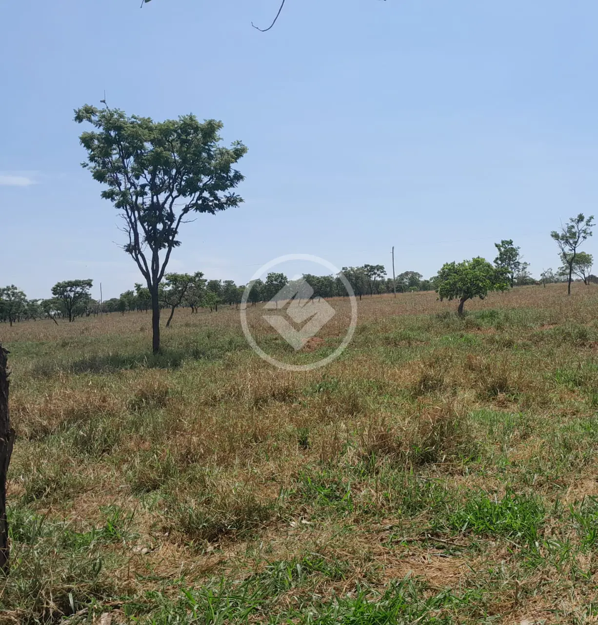 Sítio Área Rural de Uberlândia, Uberlândia - MG — foto 2