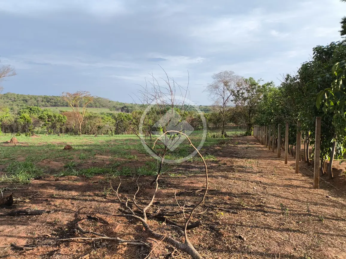 Imagem 1 - Chácara em Área Rural de Uberlândia, Uberlândia - MG