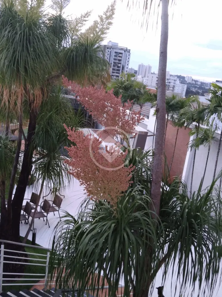 Imagem 5 - Casa em Jardim Colina, Uberlândia - MG