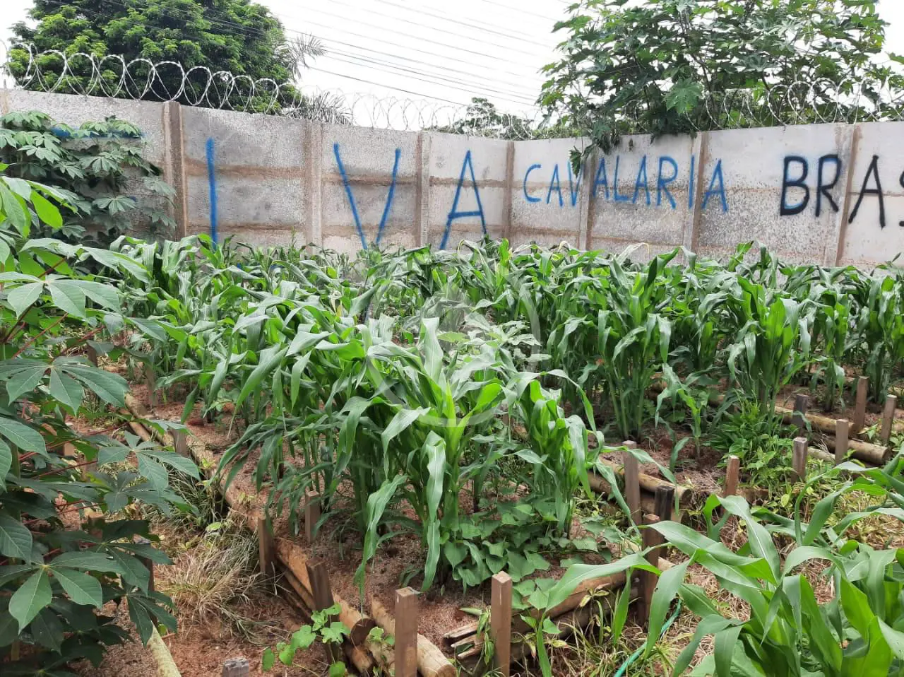 Imagem 5 - Chácara em Morada Nova, Uberlândia - MG