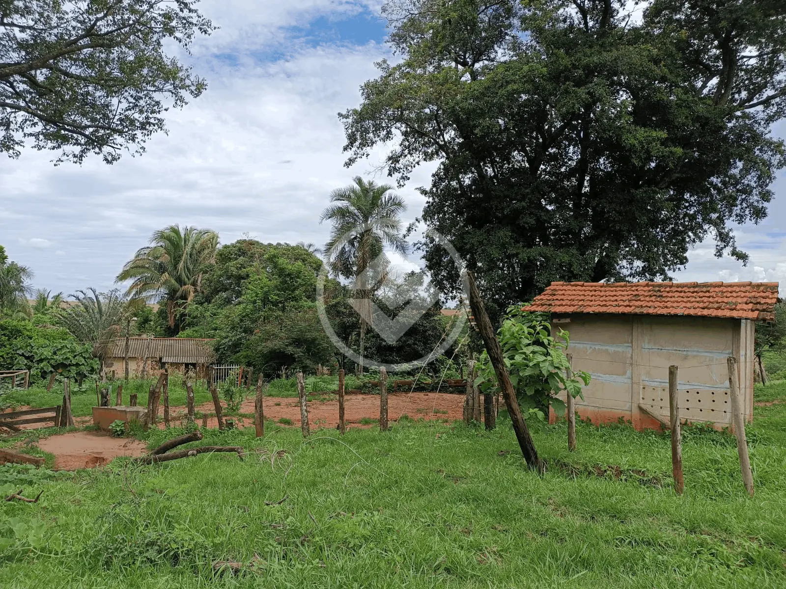 Imagem 5 - Sítio em Zona Rural, Monte Alegre de Minas - MG