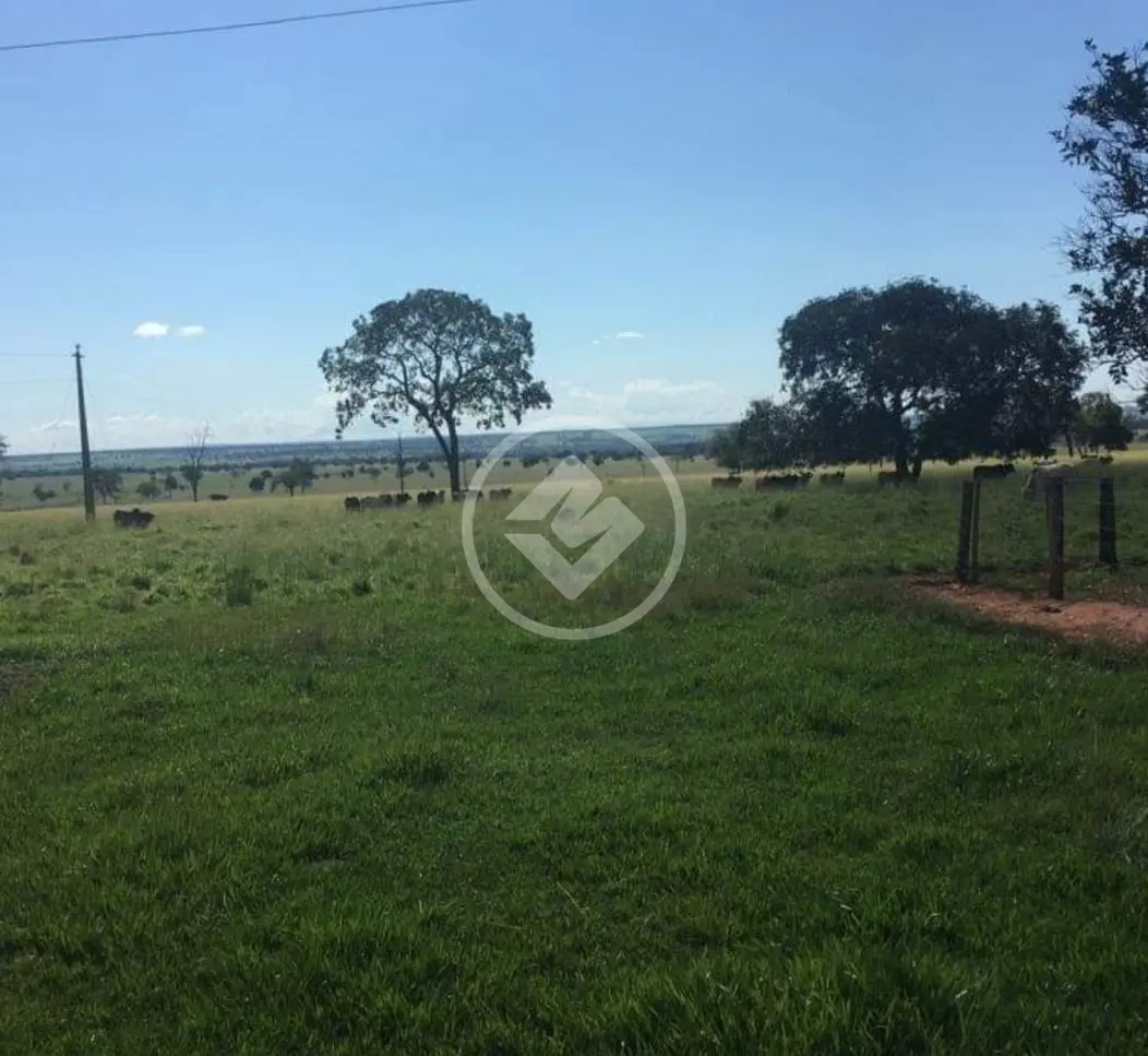 Imagem 2 - Fazenda em Zona Rural, Uberlândia - MG