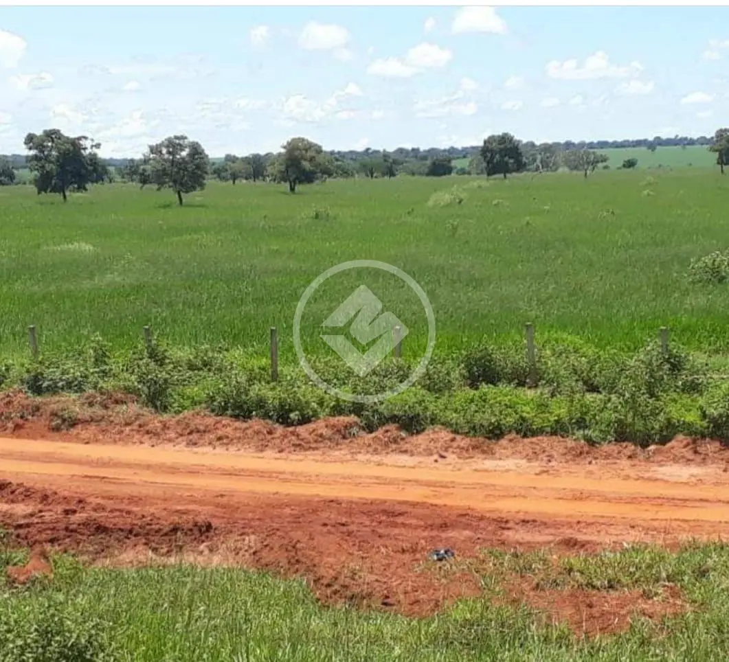 Fazenda Zona Rural, Uberlândia - MG — foto 2