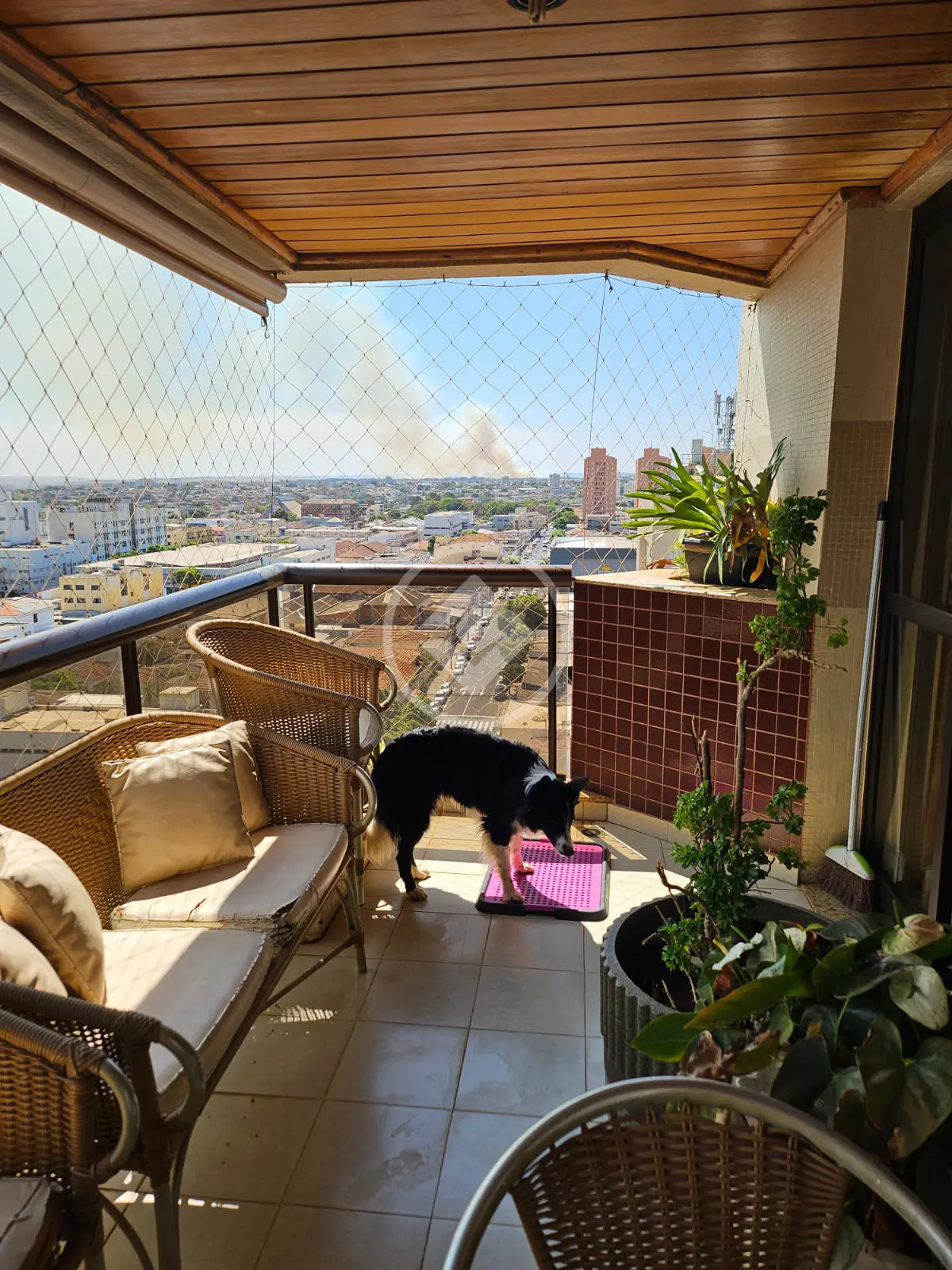 Imagem 4 - Apartamento em Martins, Uberlândia - MG