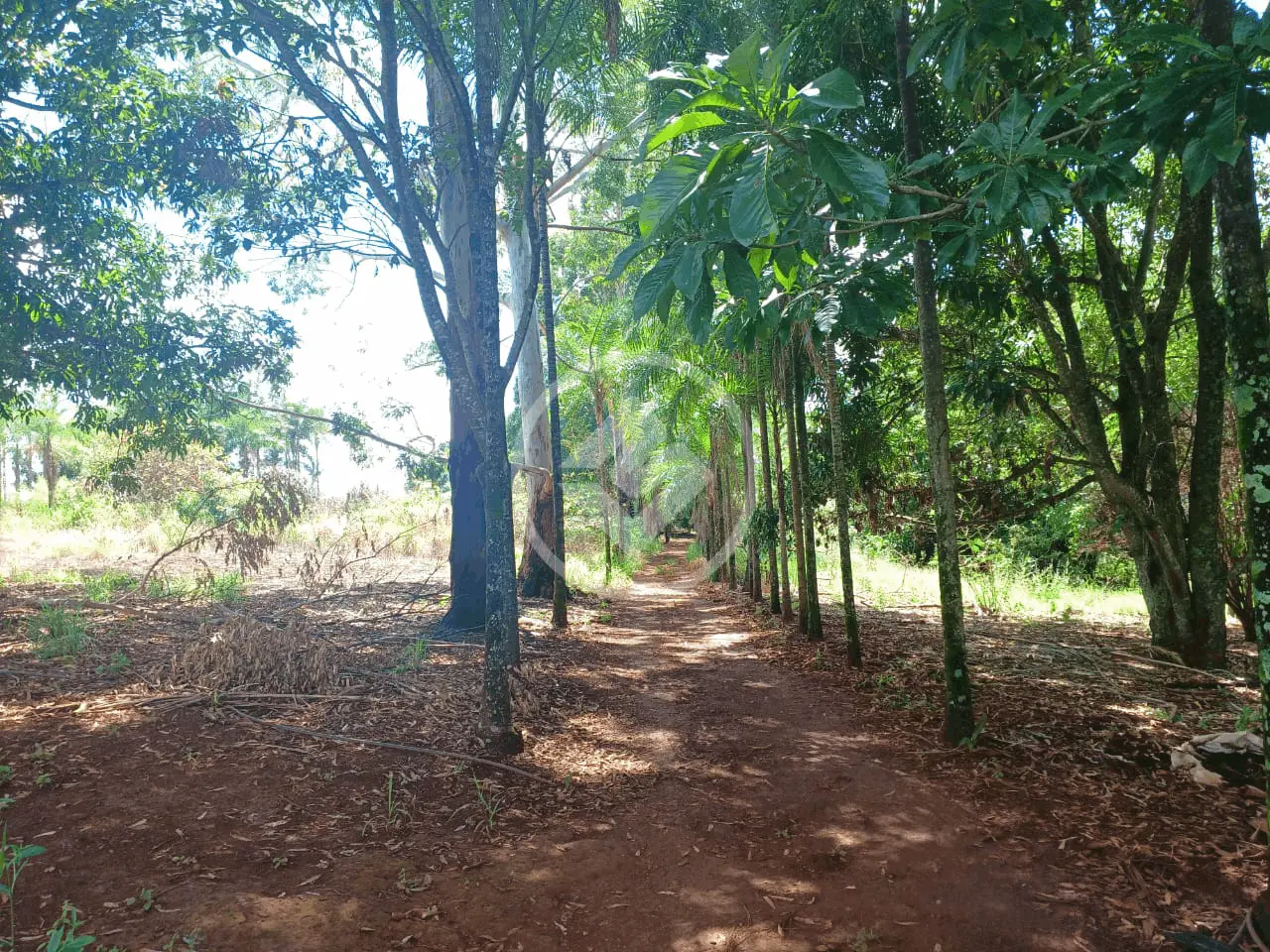Imagem 2 - Sítio em Área Rural de Uberlândia, Uberlândia - MG