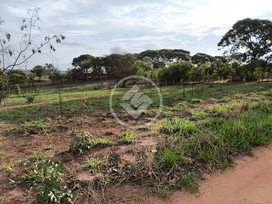 Imagem 5 - Chácara em Área Rural de Uberlândia, Uberlândia - MG