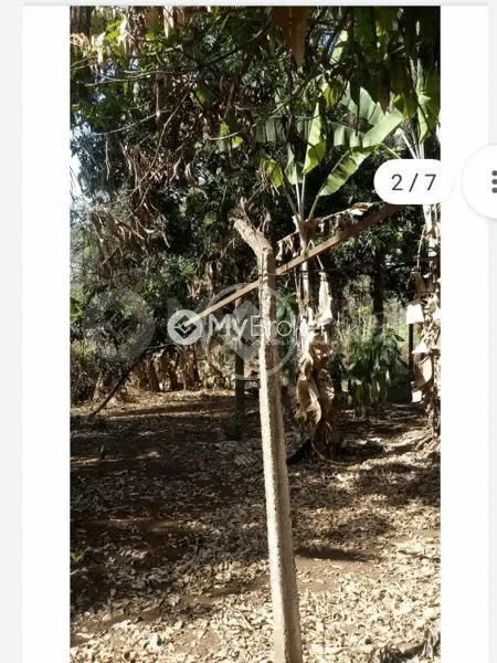 Imagem 3 - Chácara em Zona Rural, Uberlândia - MG