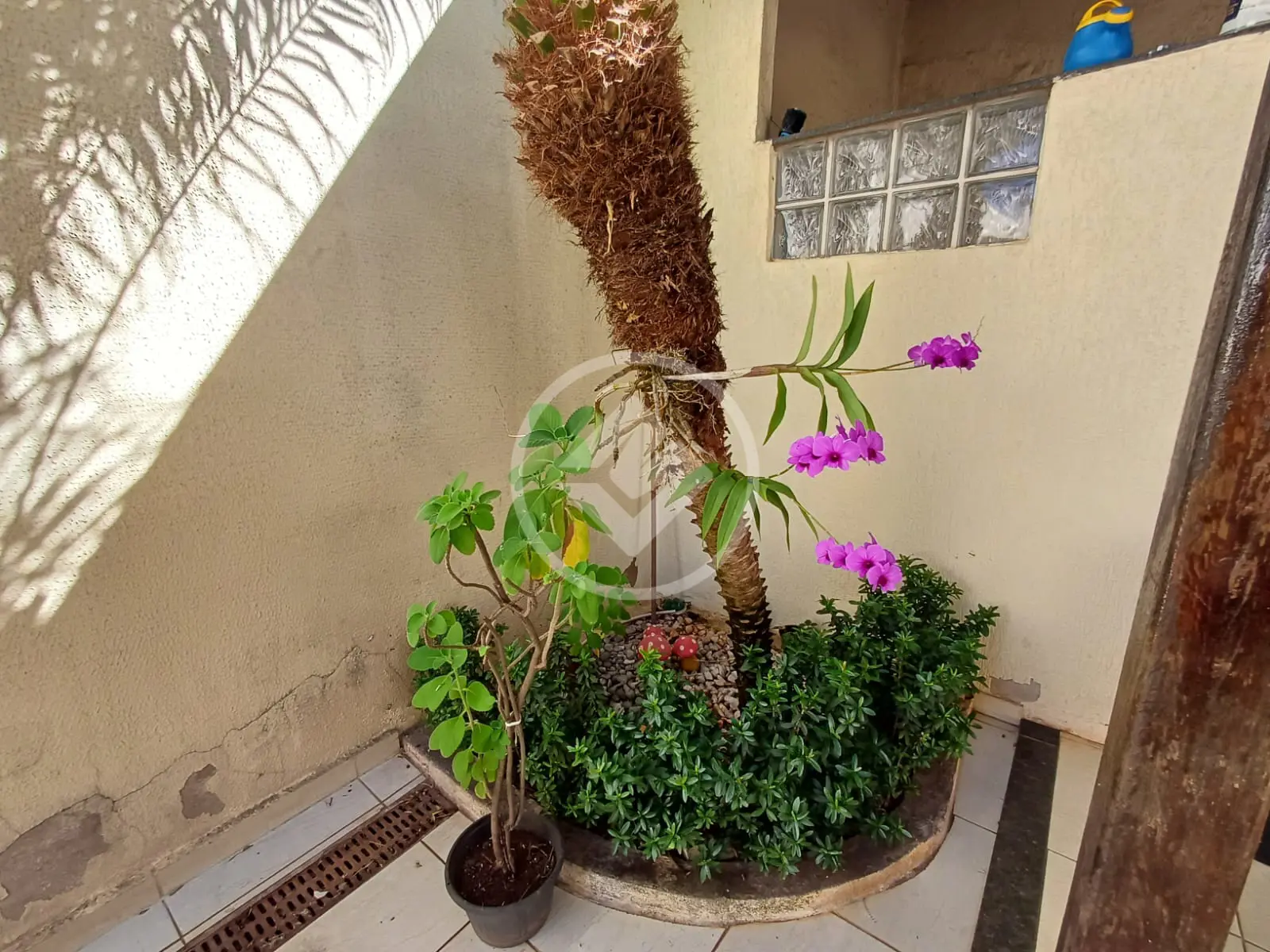 Imagem 4 - Casa em Pacaembu, Uberlândia - MG