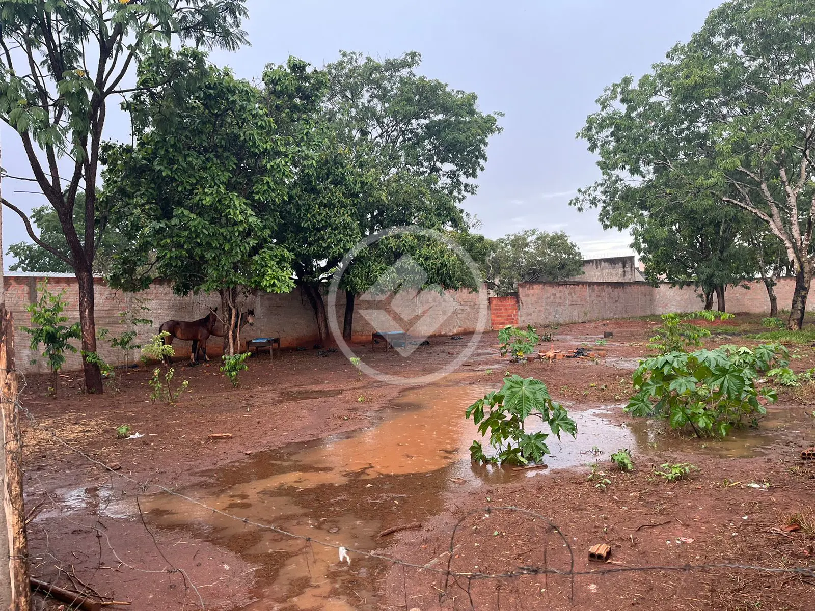 Imagem 2 - Terreno em Morada Nova, Uberlândia - MG