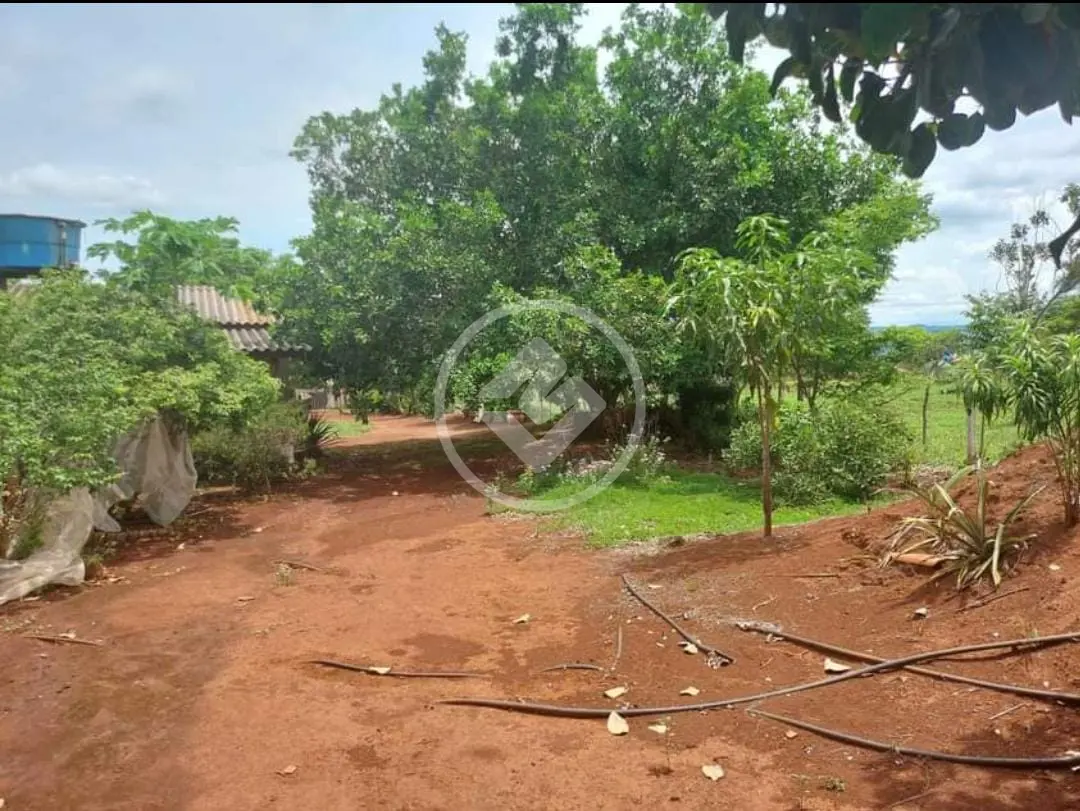 Imagem 5 - Chácara em Área Rural de Uberlândia, Uberlândia - MG