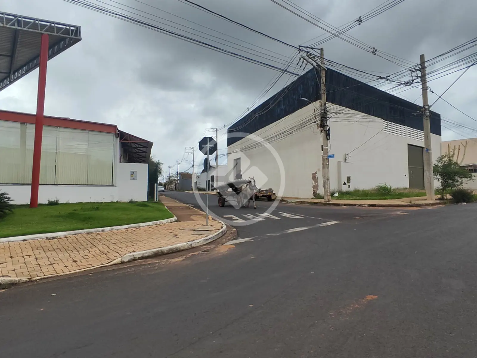 Imagem 3 - Galpão em Aclimação, Uberlândia - MG