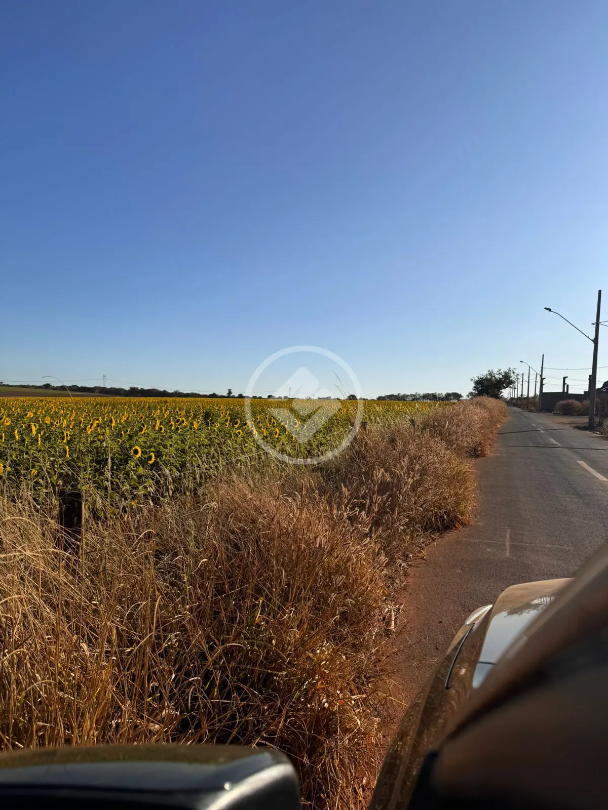 Imagem 1 - Terreno em NOVA ESPERANÇA, Tupaciguara - MG