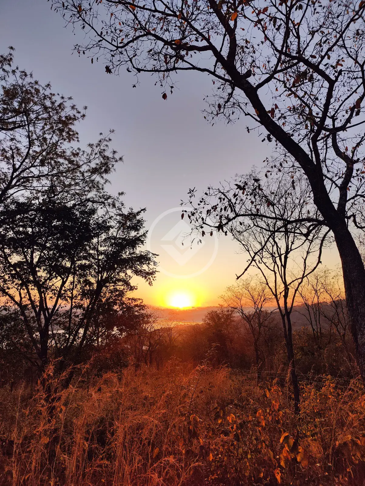 Chácara Área Rural de Uberlândia, Uberlândia - MG — foto 1