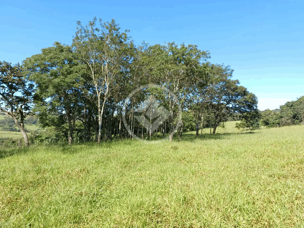 Imagem 5 - Sítio em Área Rural de Uberlândia, Uberlândia - MG