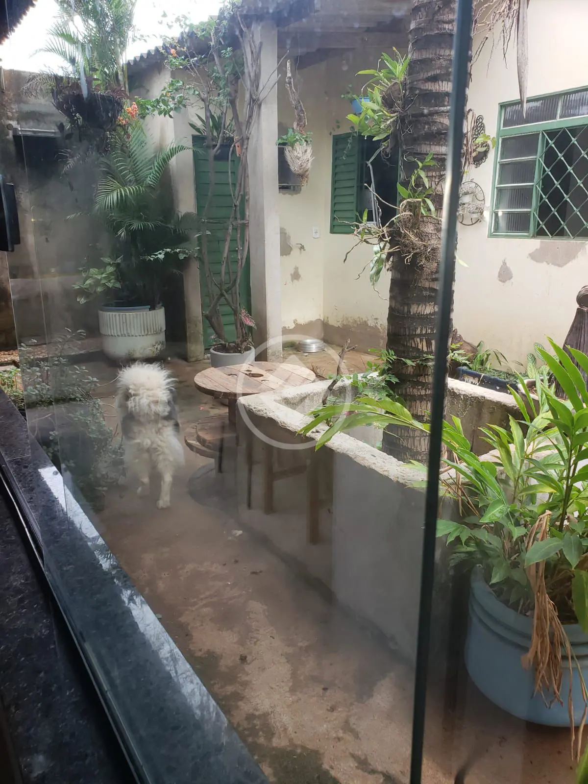 Imagem 5 - Casa em São Jorge, Uberlândia - MG