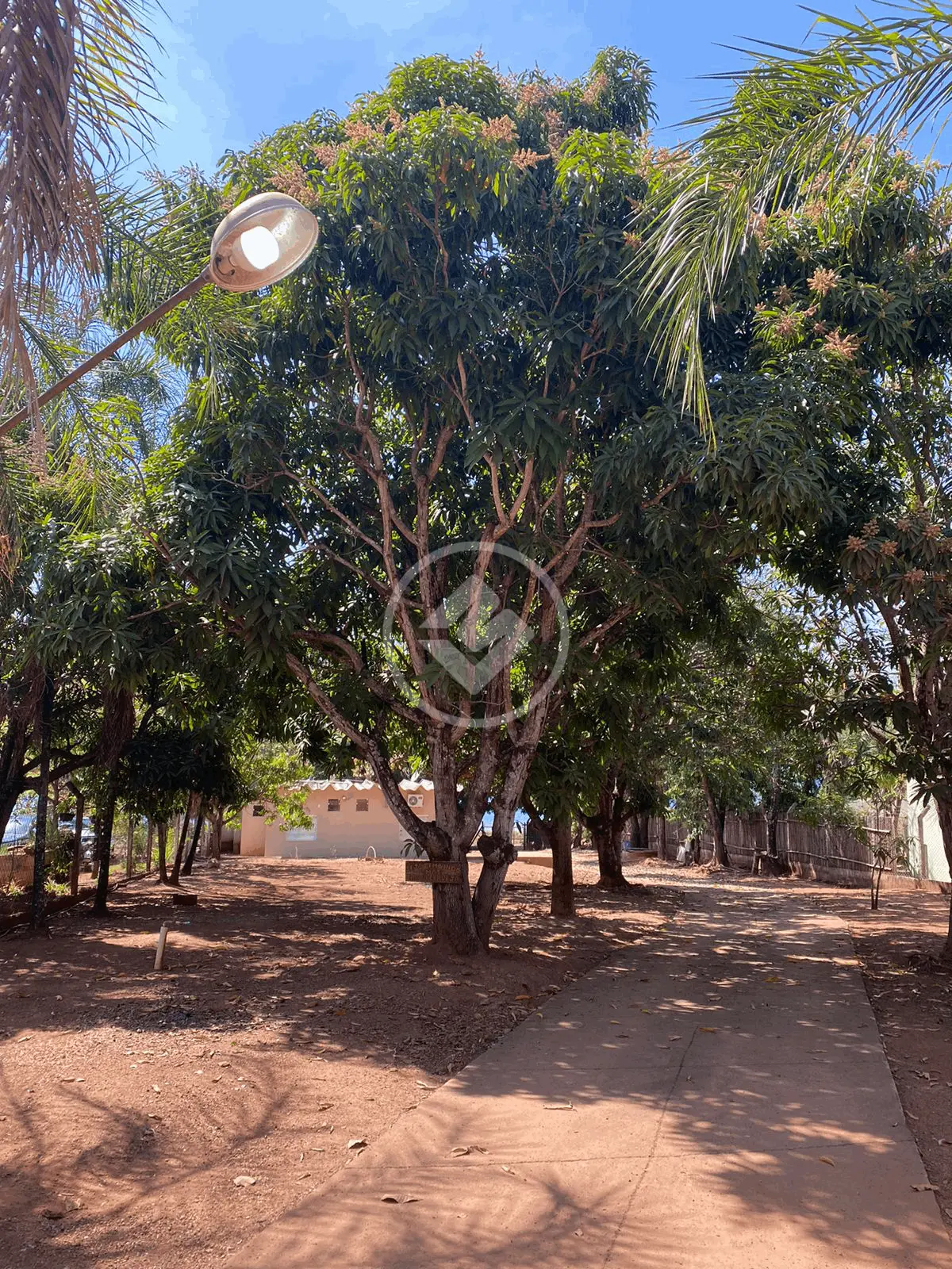 Imagem 2 - Chácara em Sewa, Araguari - MG