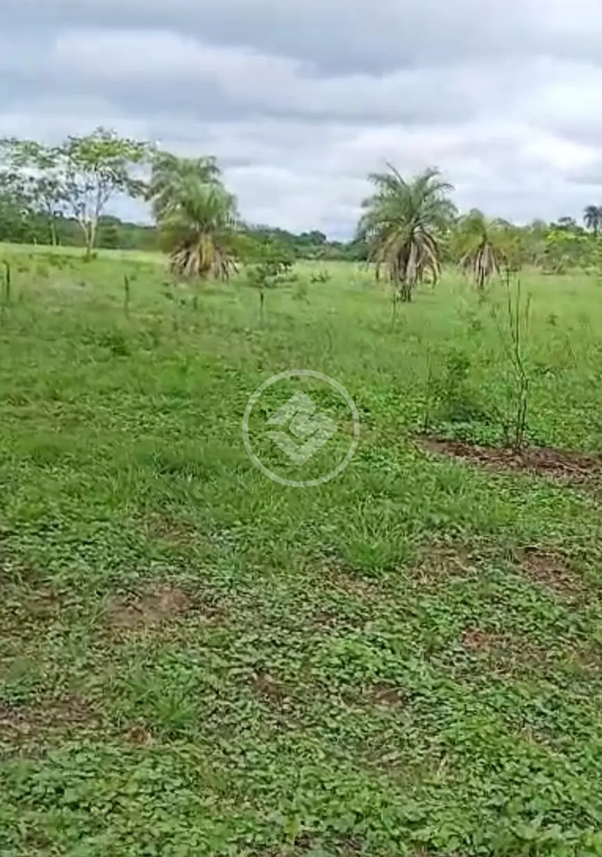 Imagem 6 - Fazenda em Zona rural, São Gonçalo do Abaeté - MG