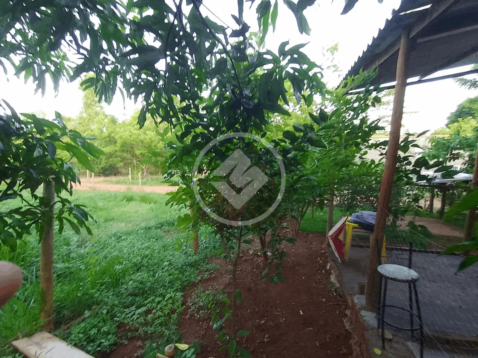 Imagem 4 - Chácara em Martinésia, Uberlândia - MG