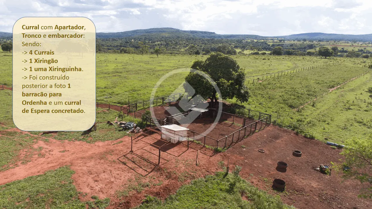 Imagem 4 - Fazenda em Zona Rural, Gurinhatã - MG