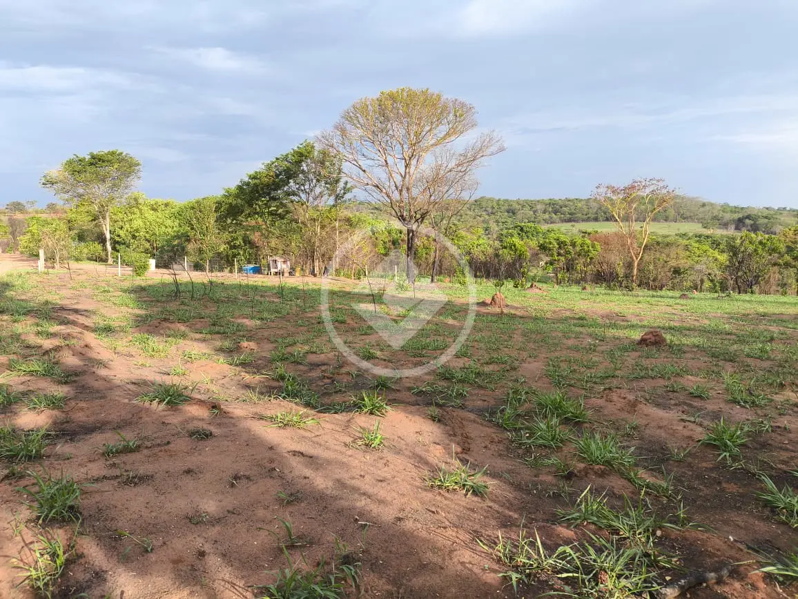 Imagem 4 - Chácara em Área Rural de Uberlândia, Uberlândia - MG