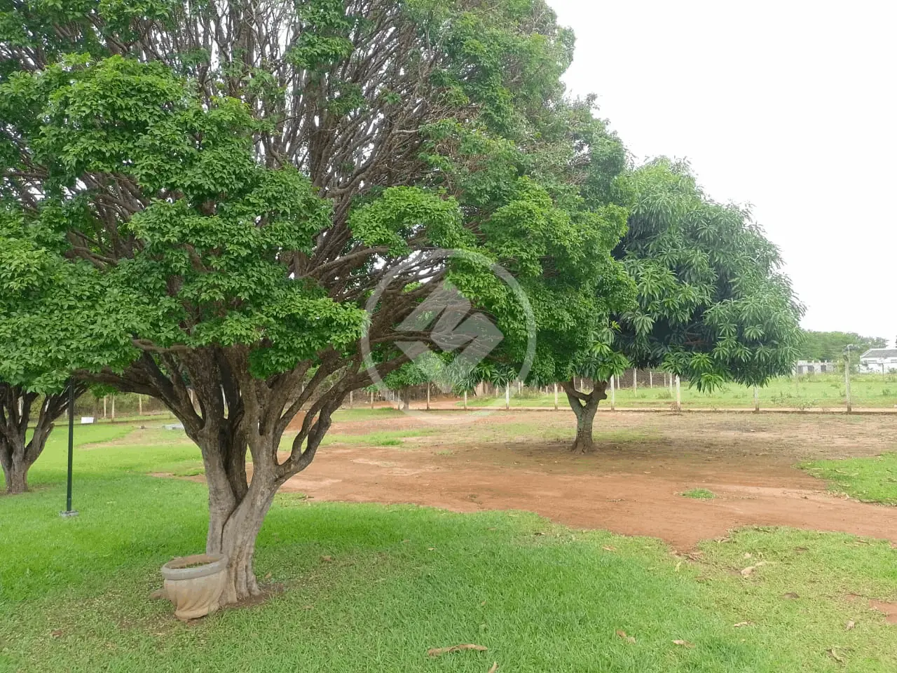 Imagem 4 - Chácara em Panorama, Uberlândia - MG
