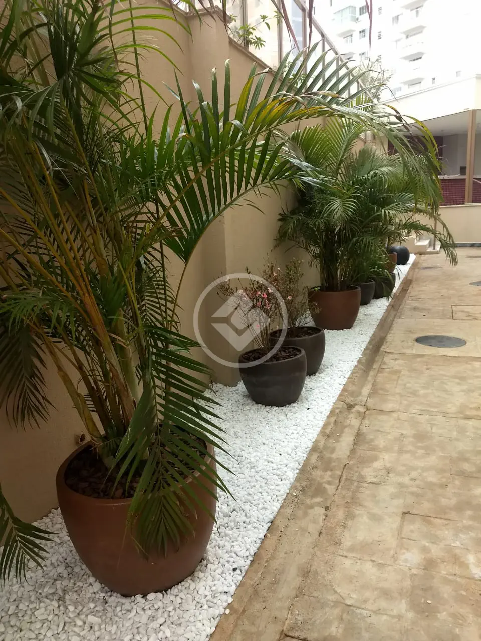 Imagem 2 - Apartamento em Presidente Roosevelt, Uberlândia - MG