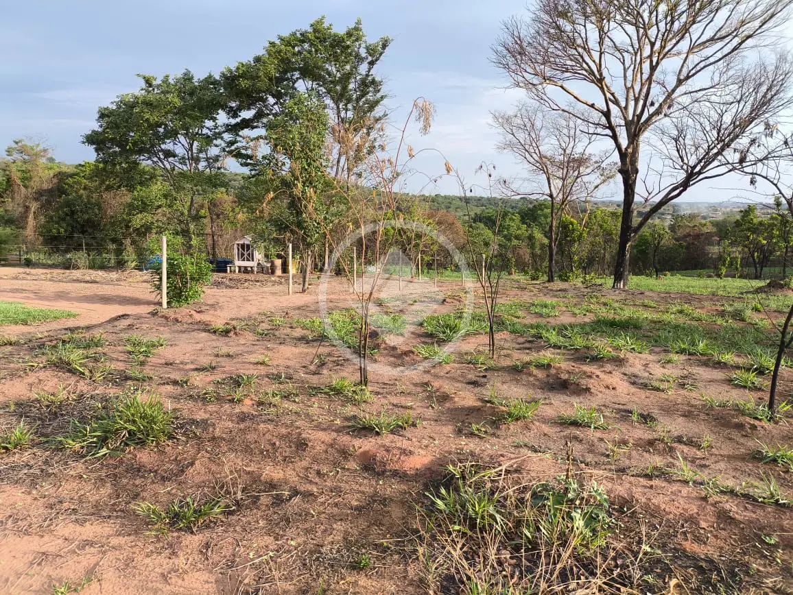 Imagem 1 - Chácara em Área Rural de Uberlândia, Uberlândia - MG