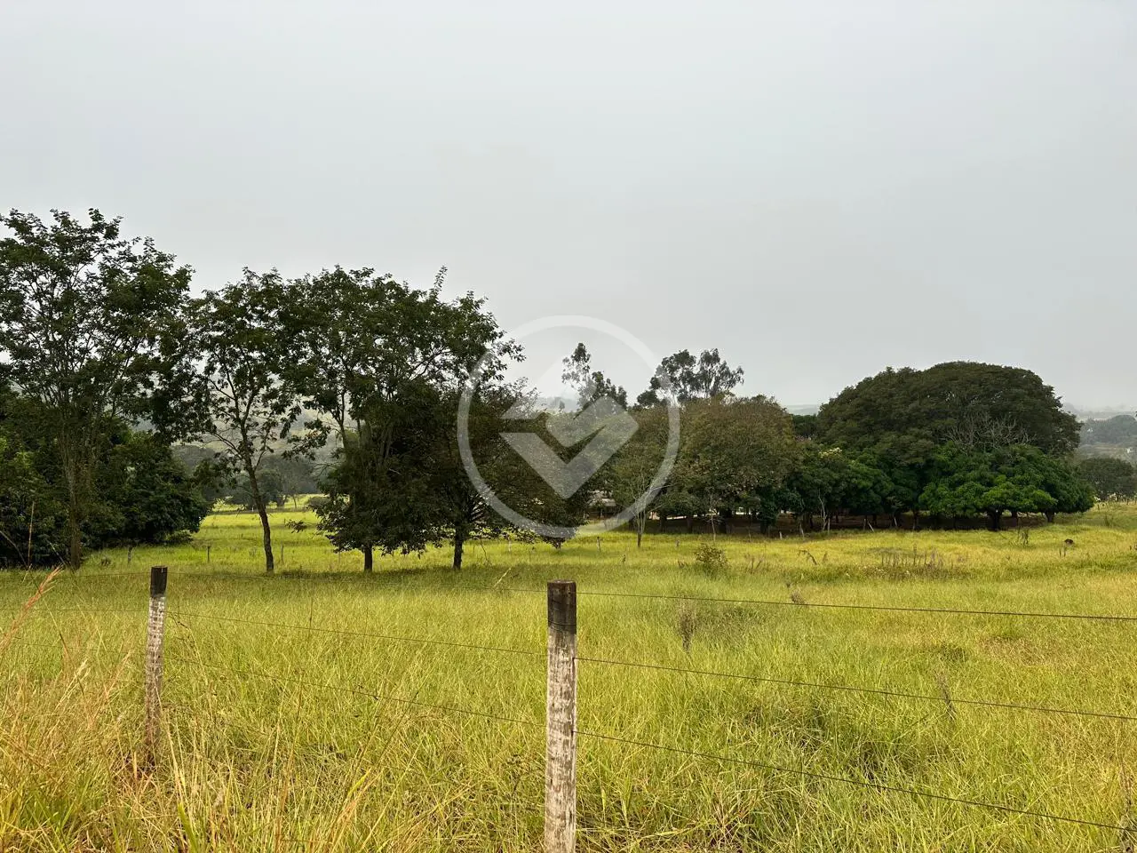 Imagem 2 - Fazenda em Zona Rural, Uberlândia - MG