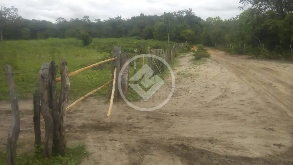 Fazenda Rural, Bonito de Minas - MG — foto 2