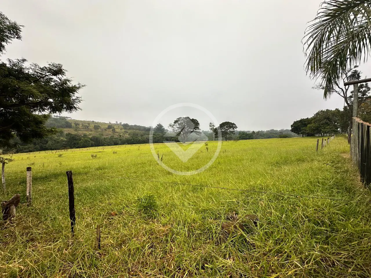 Fazenda Zona Rural, Uberlândia - MG — foto 1