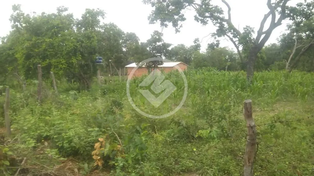 Fazenda Rural, Bonito de Minas - MG — foto 1