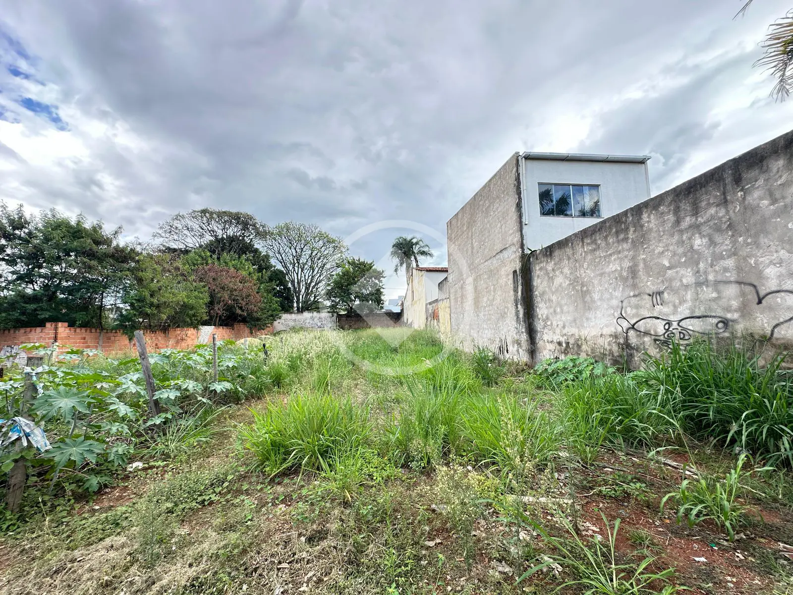 Imagem 1 - Terreno em Tibery, Uberlândia - MG