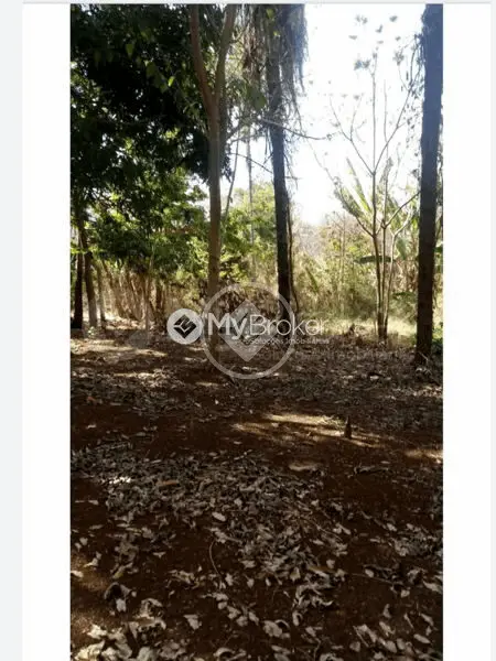 Imagem 2 - Chácara em Zona Rural, Uberlândia - MG
