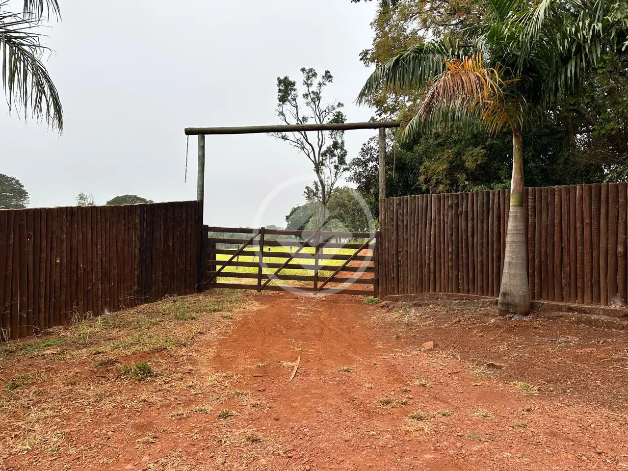 Imagem 5 - Fazenda em Zona Rural, Uberlândia - MG