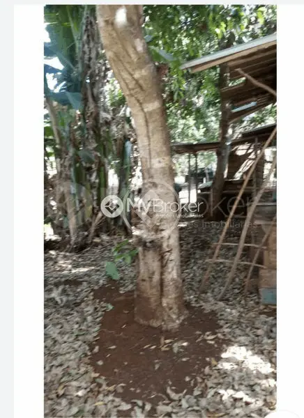 Imagem 4 - Chácara em Zona Rural, Uberlândia - MG