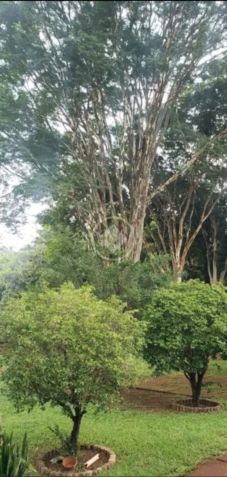 Imagem 5 - Chácara em Morada do Sol, Uberlândia - MG