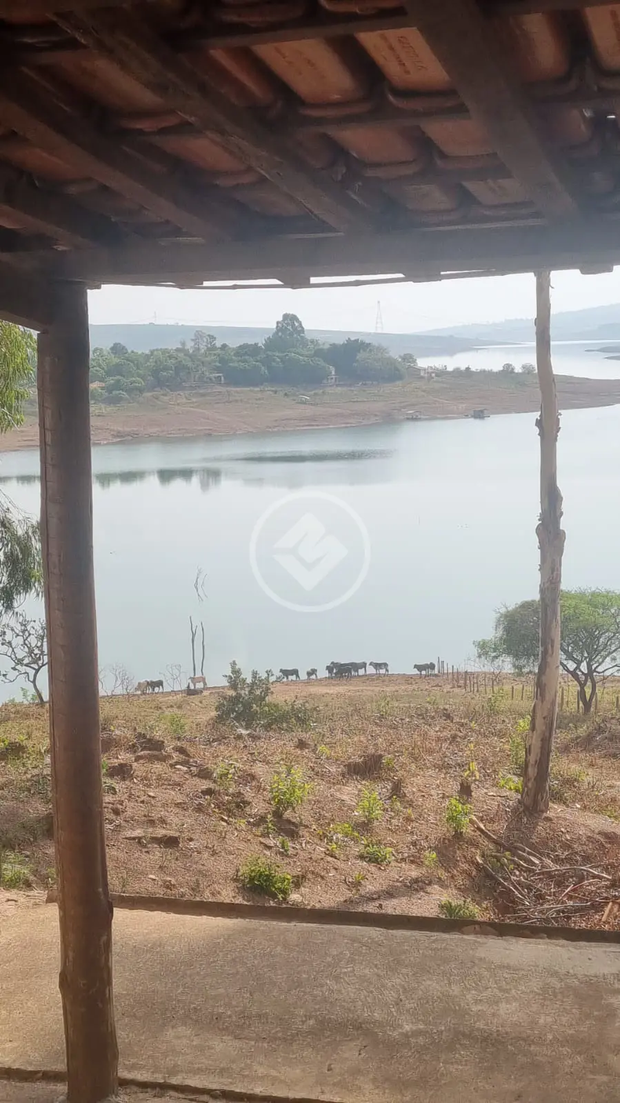 Imagem 2 - Sítio em Zona Rural, Uberlândia - MG