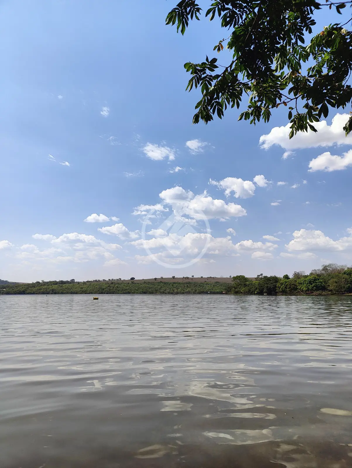 Imagem 3 - Chácara em Área Rural de Uberlândia, Uberlândia - MG