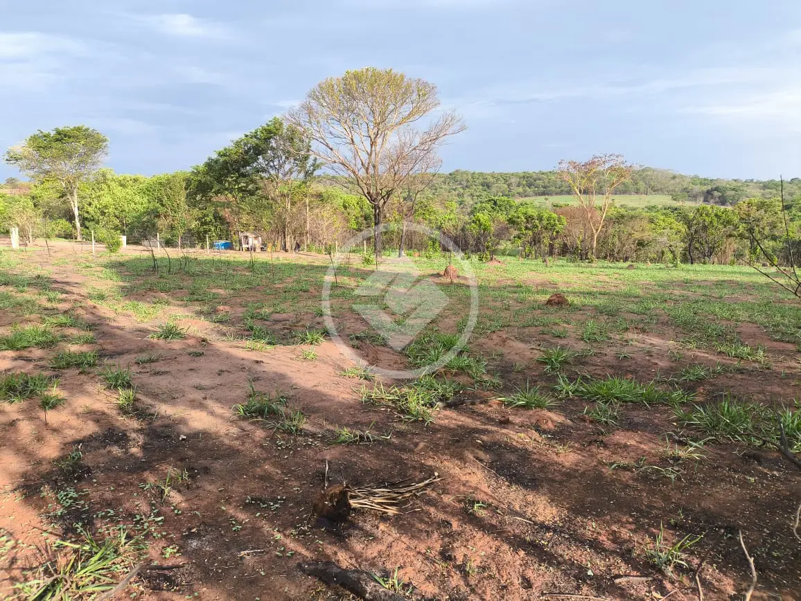 Image 10 - Chácara em Área Rural de Uberlândia, Uberlândia - MG