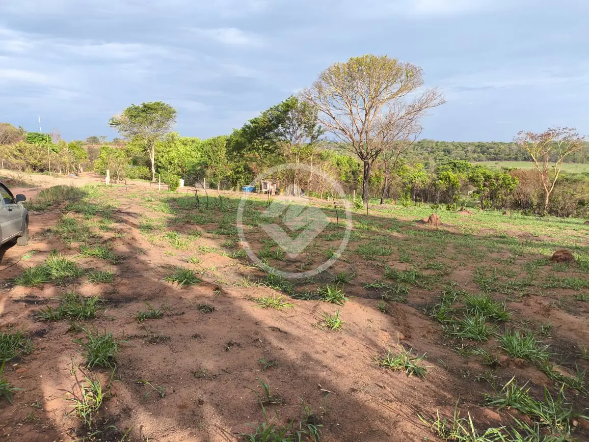 Imagem 6 - Chácara em Área Rural de Uberlândia, Uberlândia - MG