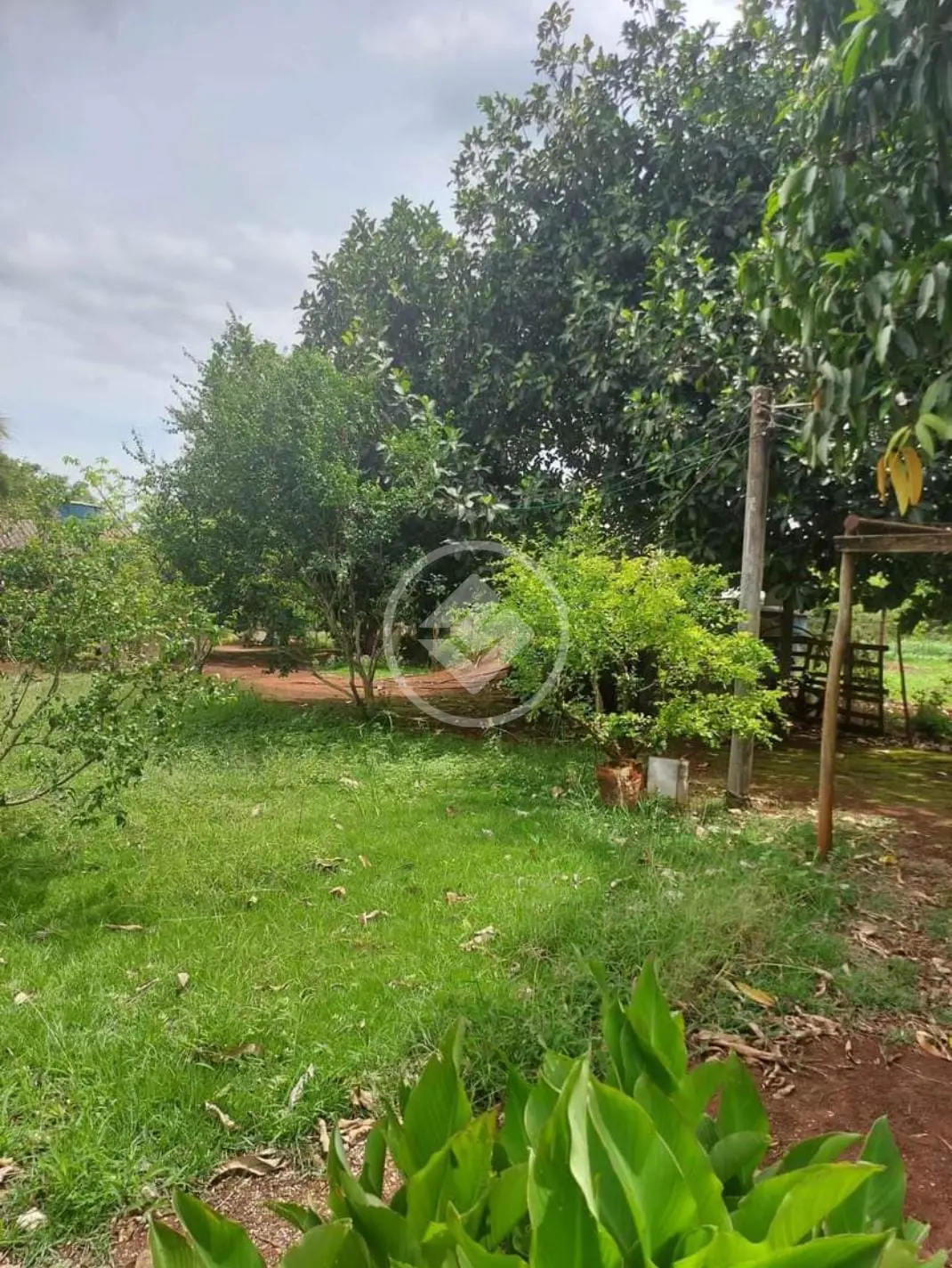 Imagem 6 - Chácara em Área Rural de Uberlândia, Uberlândia - MG