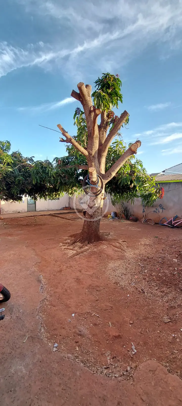 Imagem 1 - Terreno em São Jorge, Uberlândia - MG