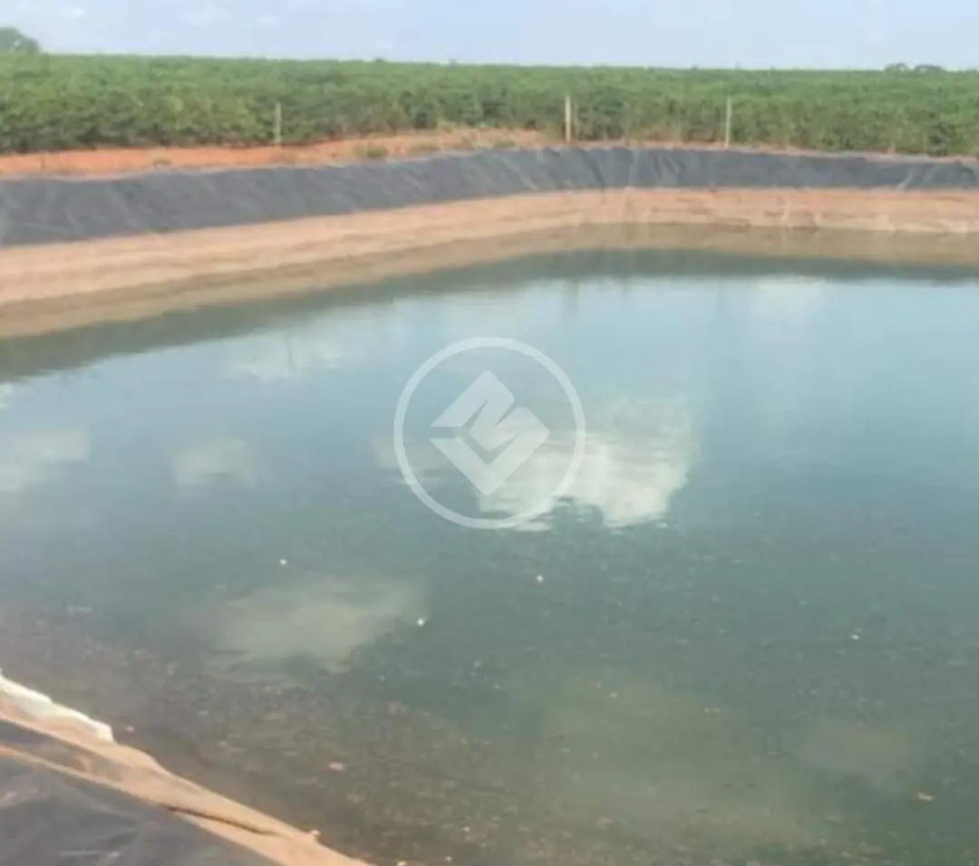 Imagem 2 - Fazenda em Área Rural de Uberlândia, Uberlândia - MG