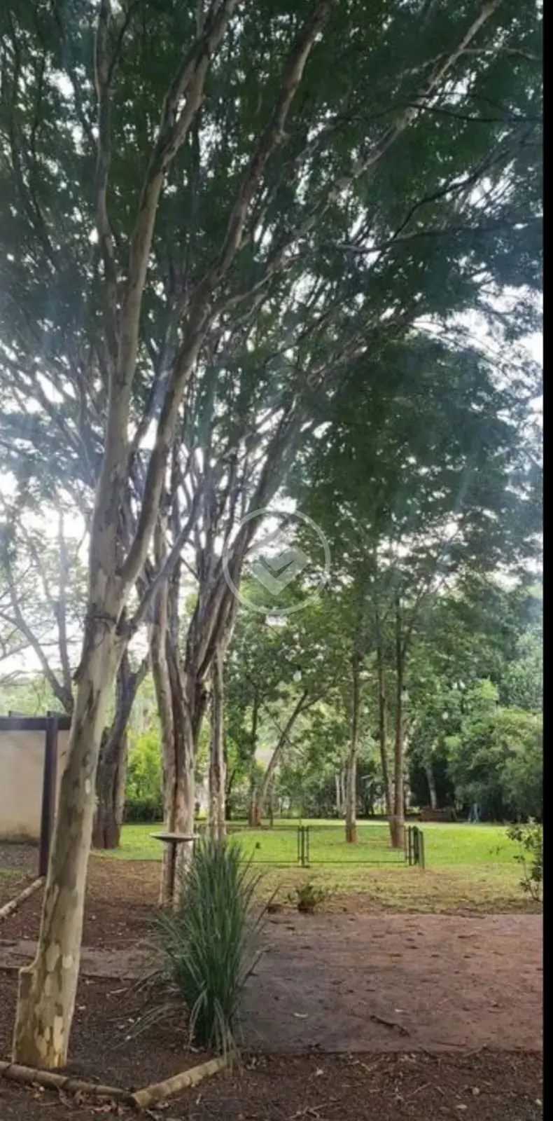 Imagem 3 - Chácara em Morada do Sol, Uberlândia - MG